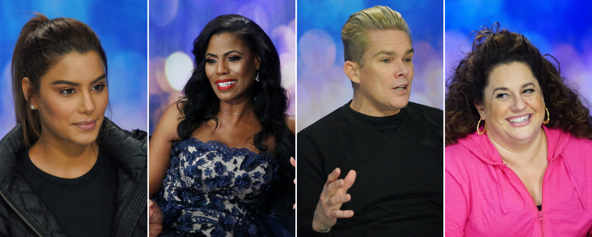 Final Celebrity Big Brother