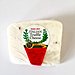 Best Cheeses From Trader Joe's