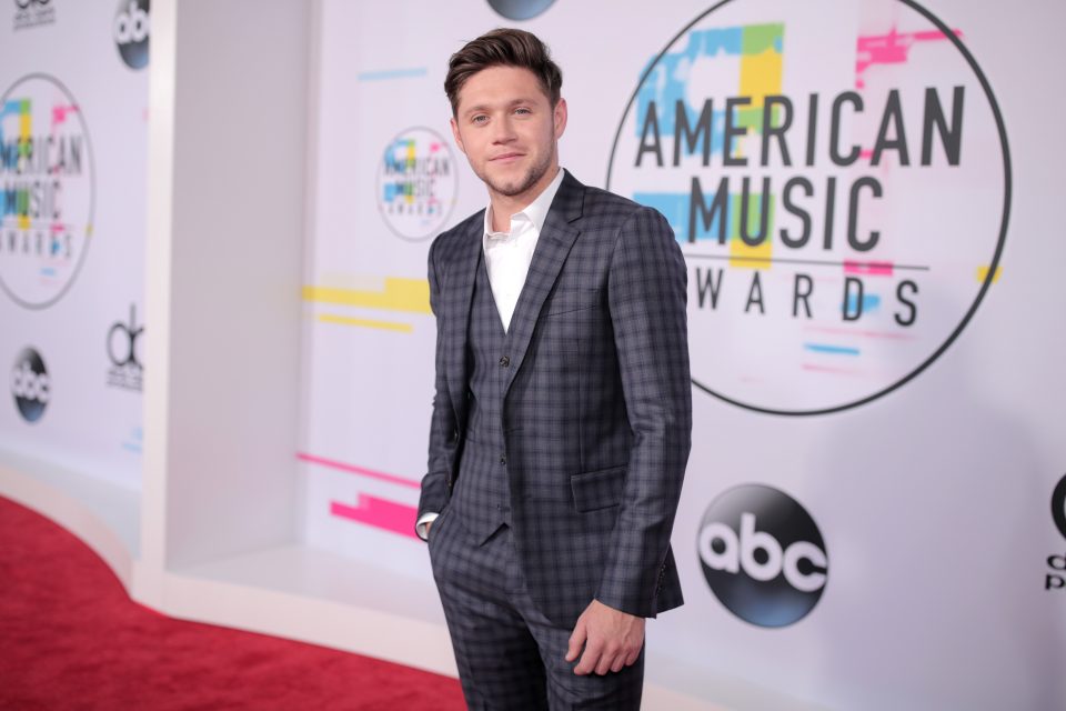 Niall Horan Opens Up About Experimenting With A New Music Sound