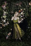 Elle Fanning Pictures