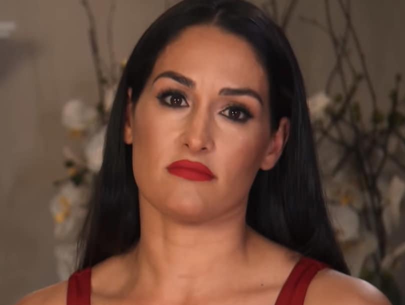 Nikki Bella Admits Another John Cena Relationship Issue: 'I Just Kind of Became a Yes Girl'